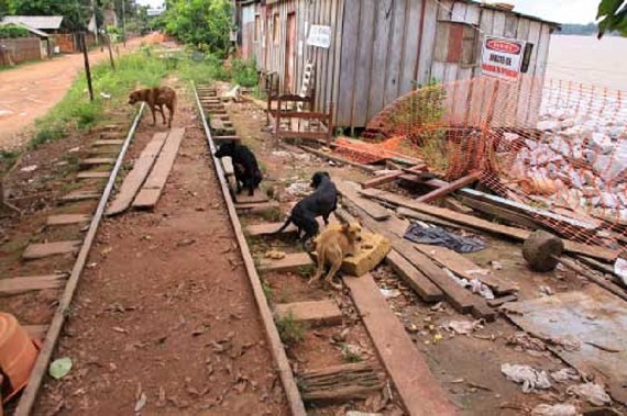 MPF MANDA MUNICÍPIO RETIRAR IMÓVEIS ILEGAIS DA MADEIRA MAMORÉ - News Rondônia