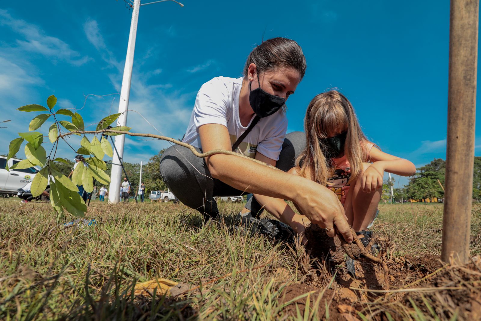 ARBORIZAÇÃO - Na Semana do Meio Ambiente, Skate Park ganha plantio de mudas - News Rondônia
