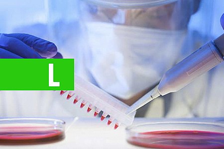 INFECÇÕES POR SUPERFUNGOS DEVEM SE TORNAR MAIS COMUNS, DIZ PESQUISADOR - News Rondônia