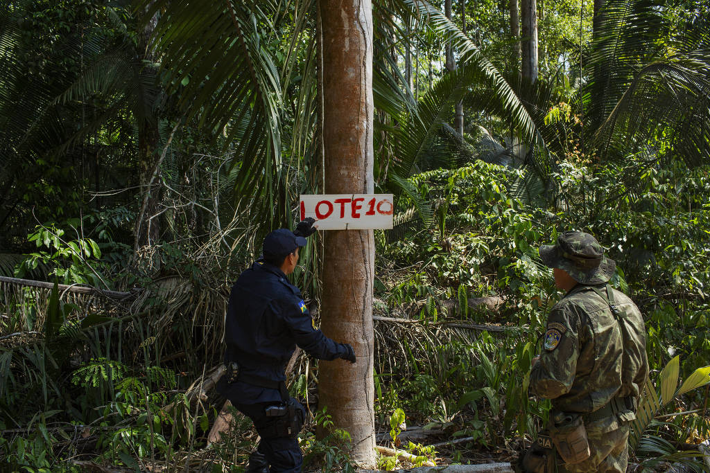INSTITUTO CHICO MENDES ENFRENTA INVASÕES E ATAQUES EM RONDÔNIA - News Rondônia