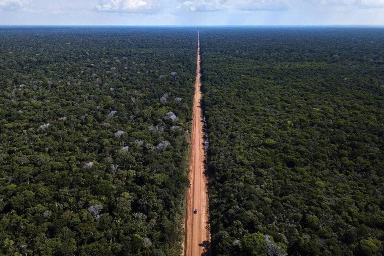 BR-319: DNIT recebe 7 propostas de empresas para repavimentação do lote C - News Rondônia