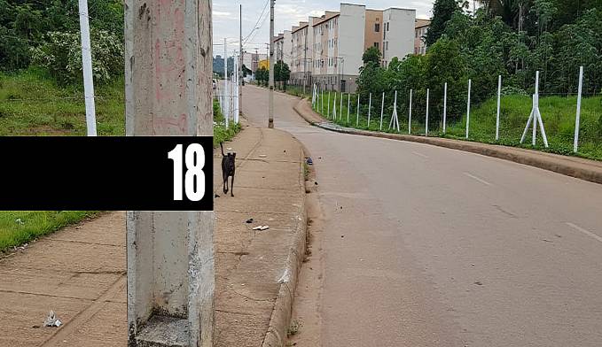 MOTOCICLISTA MORRE APÓS BATER CONTRA POSTE NO ORGULHO DO MADEIRA - News Rondônia