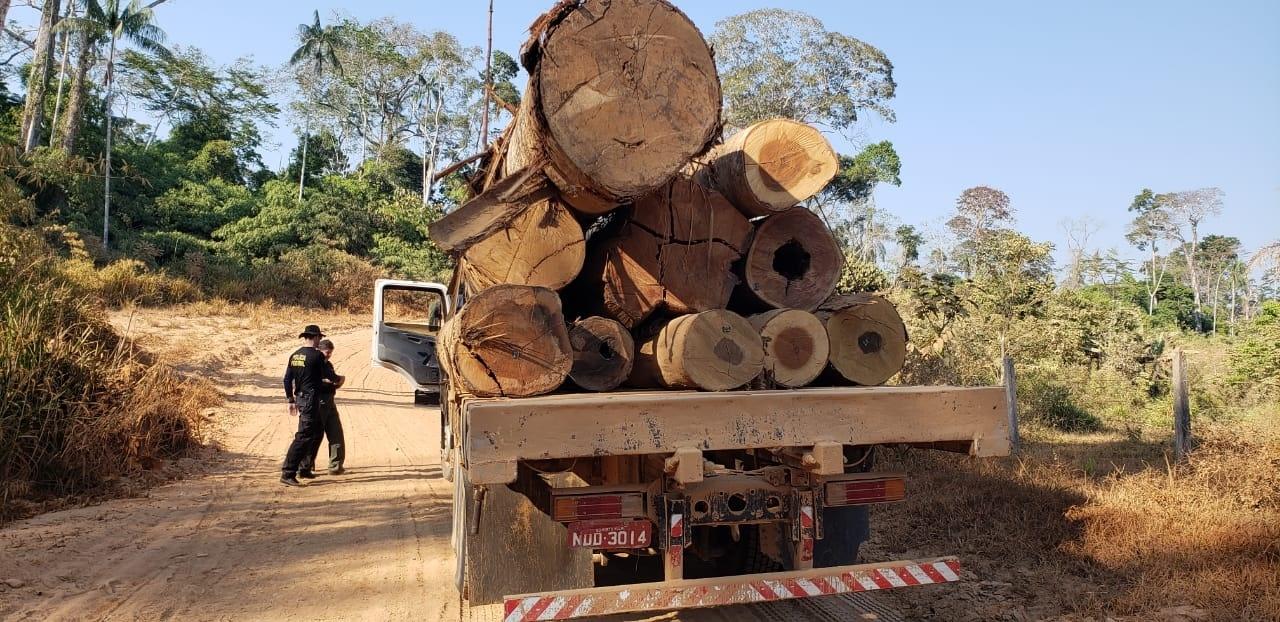 Lista negra com supostos nomes, endereços de mandantes de crimes no sul de RO e AM será entregue às autoridades - News Rondônia