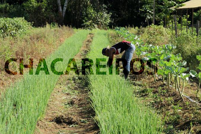 EMATER/SEAGRI garantem apoio à feirinha orgânica dos chacareiros no Jardim Santana - News Rondônia