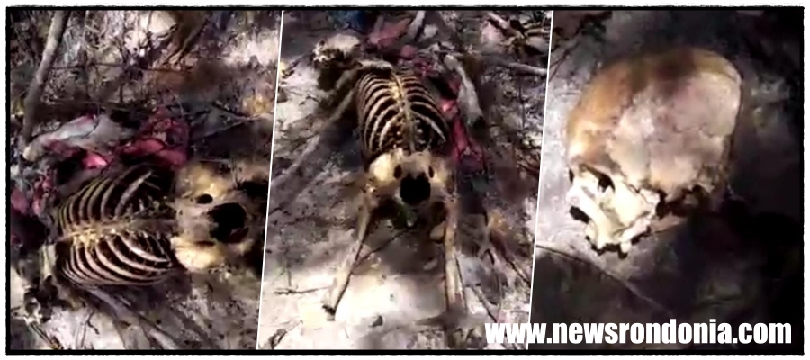 URGENTE: Ossada humana é encontrada em mata de Candeias - News Rondônia