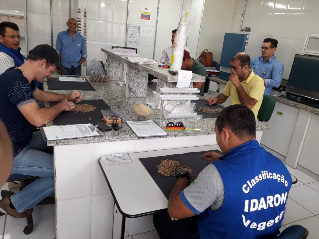 CLASSIFICADORES DA IDARON, QUE ANALISARAM MAIS DE 300 AMOSTRAS DE GRÃOS, SÃO DESTAQUES NO CONCAFÉ - News Rondônia