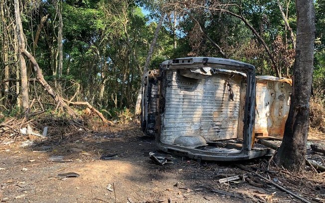 Van roubada com 70 gatos é encontrada em matagal na zona leste de SP - News Rondônia