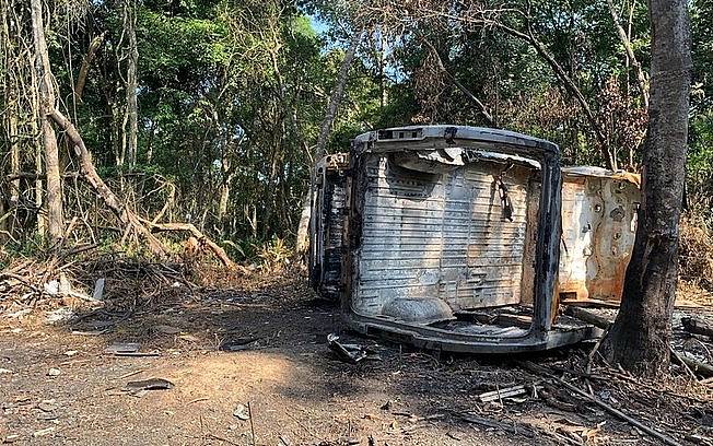 Van roubada com 70 gatos é encontrada em matagal na zona leste de SP - News Rondônia