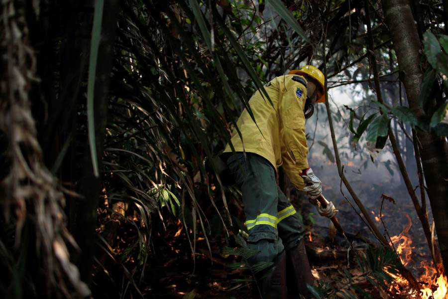 Juíza federal no Amazonas manda PF devolver madeira apreendida por delegado que denunciou Salles - News Rondônia