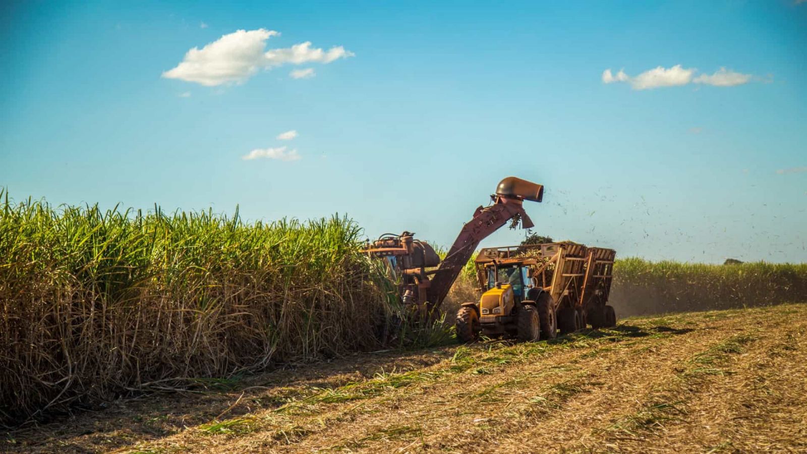 Conab e Inpe concluem trabalho inédito de mapeamento da soja - News Rondônia
