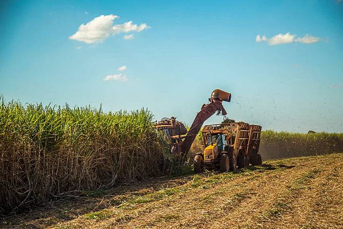 Conab e Inpe concluem trabalho inédito de mapeamento da soja - News Rondônia