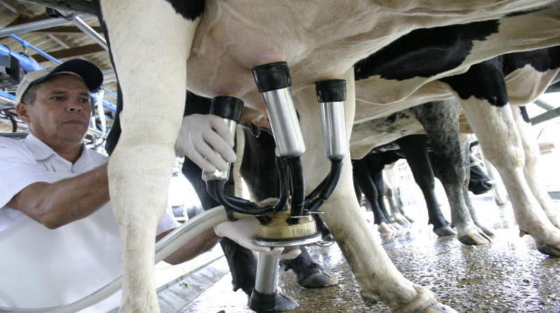 Preço do leite ao produtor sobe, mas custos de produção reduzem margens - News Rondônia