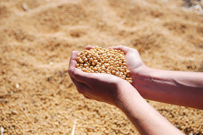 Conab estima produção total de 289,6 milhões de toneladas de grãos para safra 2021/22 - News Rondônia