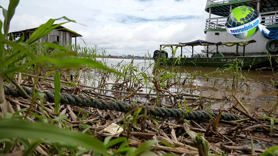 COM NÍVEL DO RIO MADEIRA EM 14 METROS, DEFESA CIVIL ESTUDA DECRETAR SITUAÇÃO DE ALERTA - News Rondônia