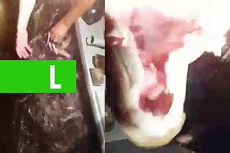 TÁ NA WEB: VEJA COMO ESSES PESCADORES LIMPAM PEIXES NO RIO MAMORÉ. É IMPRESSIONANTE! - News Rondônia