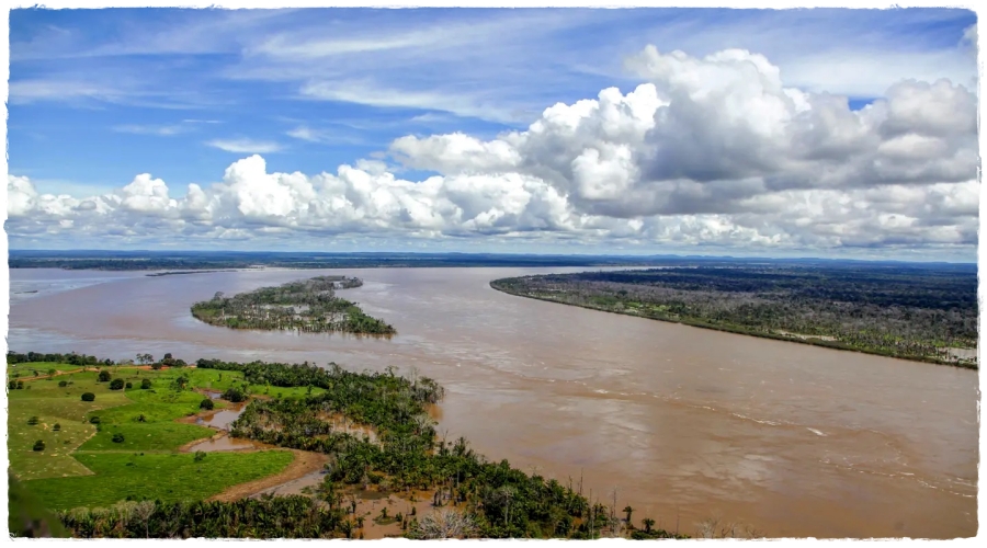 Mesmo com uma possível enchente descartada, Defesa Civil de Porto Velho mantém Plano de contingenciamento em alerta - News Rondônia