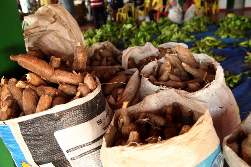 MAIS DE R$ 2,5 MILHÕES SÃO INVESTIDOS NA AGRICULTURA FAMILIAR E 150 FAMÍLIAS BENEFICIADAS COM O PROGRAMA DE AQUISIÇÃO DE ALIMENTOS - News Rondônia