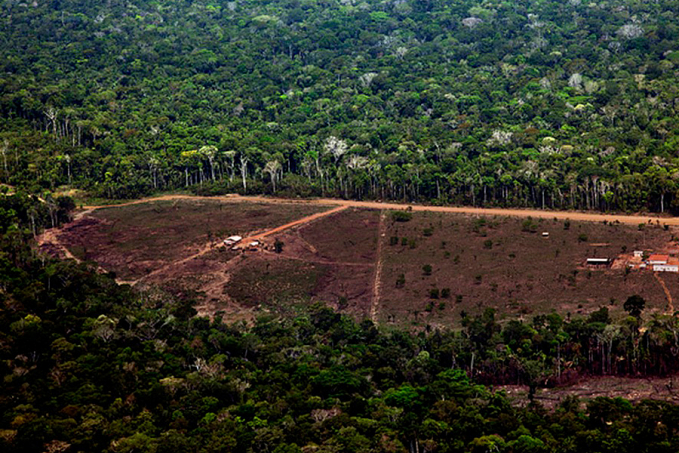 Ações para regularização ambiental e recuperação de áreas degradadas em propriedades da agricultura familiar vão ser intensificadas - News Rondônia