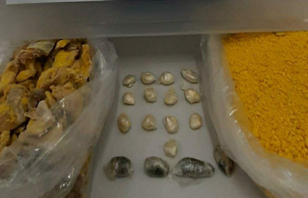 Dupla tenta entrar em presídio de Porto Velho com farofa temperada de pedra de crack e maconha - News Rondônia