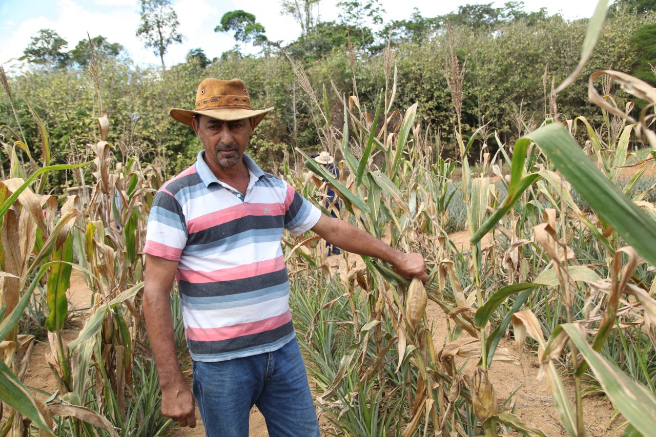 O DESENVOLVIMENTO DO AGRONEGÓCIO NA REGIÃO NORTE DE RONDÔNIA É UMA REALIDADE - News Rondônia