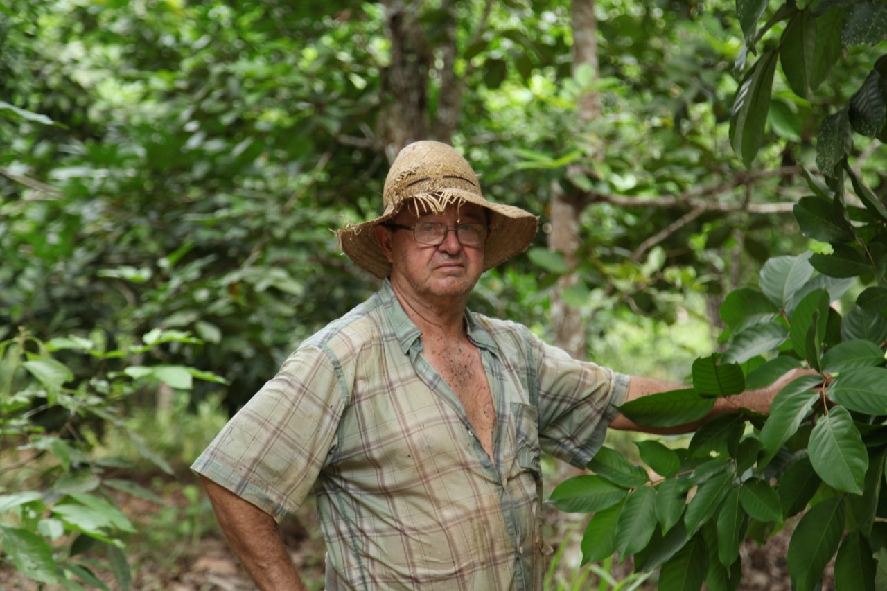 O DESENVOLVIMENTO DO AGRONEGÓCIO NA REGIÃO NORTE DE RONDÔNIA É UMA REALIDADE - News Rondônia