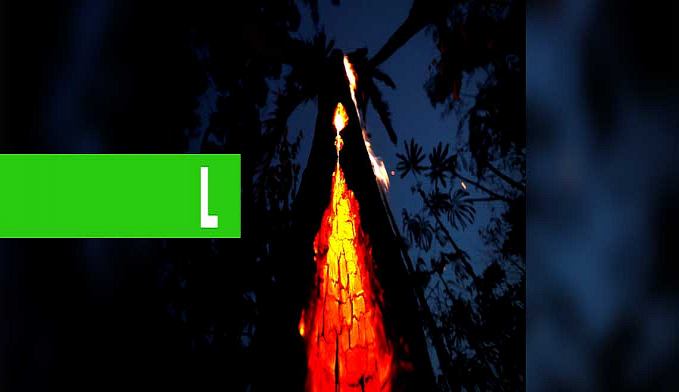 FOCOS DE QUEIMADAS NA AMAZÔNIA CAEM EM SETEMBRO, E SOBEM NO CERRADO, PANTANAL, PAMPA E MATA ATLÂNTICA - News Rondônia