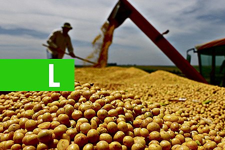 MT JÁ COLHEU 29% DA SAFRA NESTE ANO - News Rondônia