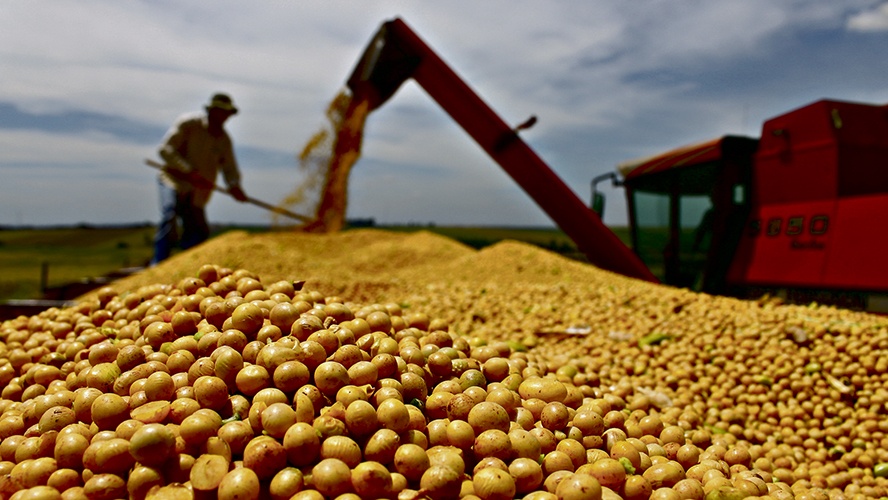 MT JÁ COLHEU 29% DA SAFRA NESTE ANO - News Rondônia