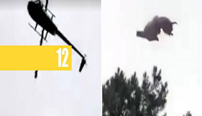 ANIMAL JOGADO DE HELICÓPTERO CAI EM PISCINA DE EMPRESÁRIO (VÍDEO) - News Rondônia