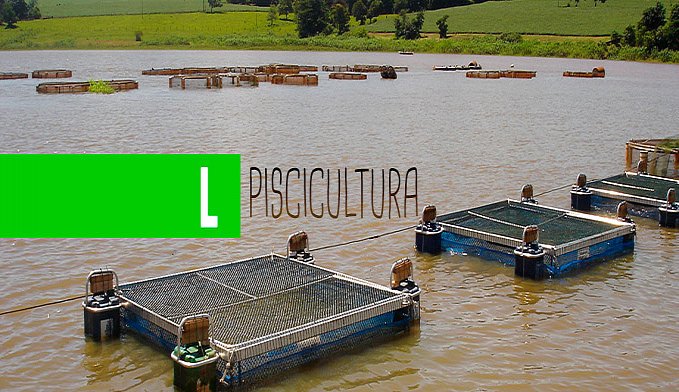PISCICULTURA EM TANQUES-REDE: ALTERNATIVA INTELIGENTE - News Rondônia