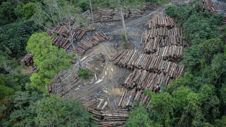 Operação TAMOIOTATÁ deixa de fora zonas de conflitos entre sul de Lábrea e Canutama - News Rondônia