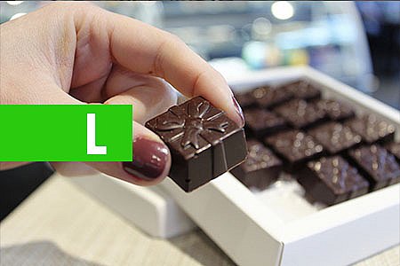 TODO CHOCOLATE À VENDA NO BRASIL ESTÁ CONTAMINADO PELO TRABALHO INFANTIL - News Rondônia
