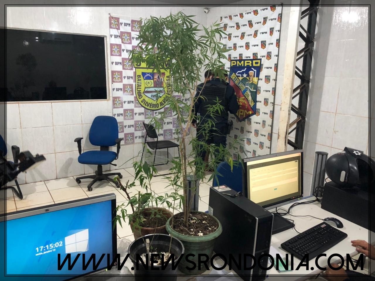 Homem é preso com vários pés de maconha na capital; Suspeito disse que era para fins medicinais - News Rondônia