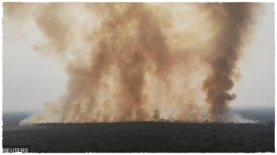 Em menos de 80 anos, clima nos estados da região Norte vai aumentar de tal forma que o corpo humano não conseguirá se adaptar - News Rondônia