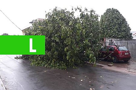 JARU  SEGUNDO TEMPORAL EM MENOS DE 20 DIAS DEIXA DESTRUIÇÕES E PREJUÍZOS - News Rondônia