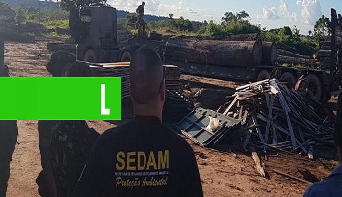 COORDENAÇÃO DE PROTEÇÃO AMBIENTAL REGISTRA EM SEIS MESES MAIS DE 500 AUTOS EM CRIMES CONTRA O MEIO AMBIENTE EM RONDÔNIA - News Rondônia