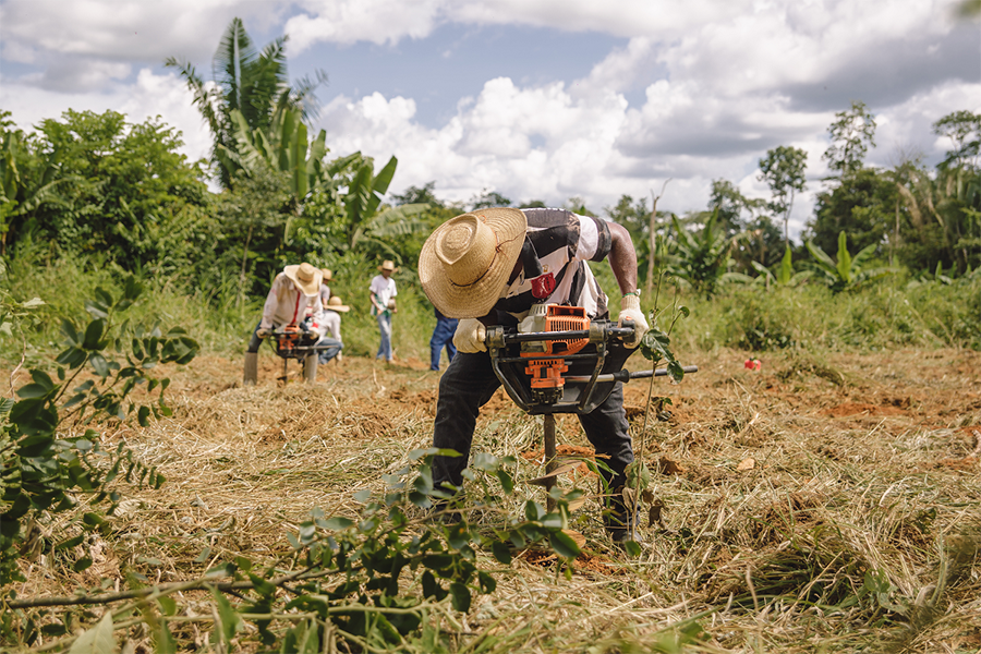 AGRICULTORES FAMILIARES DE RONDÔNIA RECEBERÃO APOIO PARA REGULARIZAÇÃO AMBIENTAL - News Rondônia
