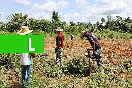AGRICULTORES FAMILIARES DE RONDÔNIA RECEBERÃO APOIO PARA REGULARIZAÇÃO AMBIENTAL - News Rondônia
