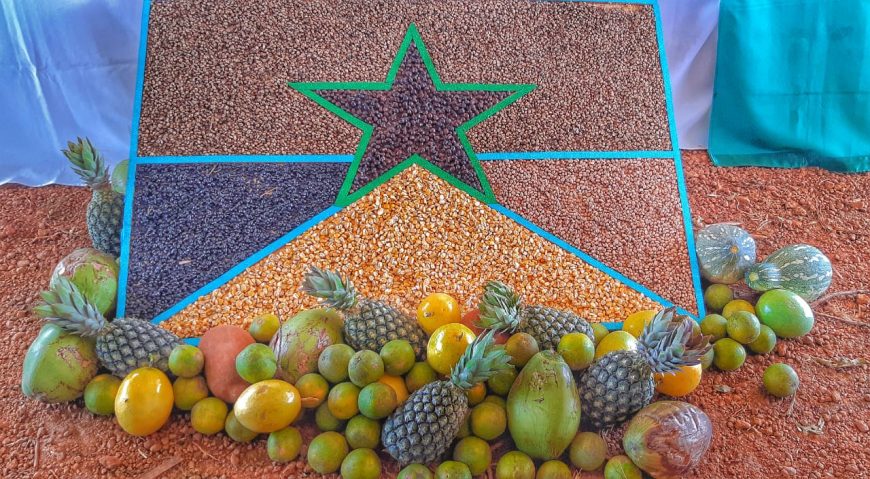 INVESTIMENTO EM MÁQUINAS E EQUIPAMENTOS IMPULSIONA O AGRONEGÓCIO EM RONDÔNIA - News Rondônia
