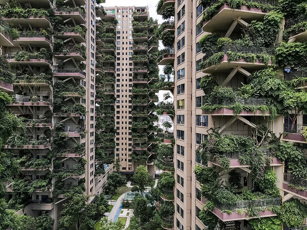 Plantas 'invadem' prédios na China e moradores abandonam imóveis - News Rondônia