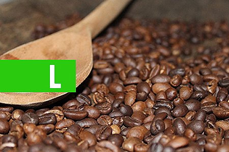 CACOAL SE PREPARA PARA A 1ª FESTA DO CAFÉ, NOS DIAS 28 E 29 DE JULHO - News Rondônia
