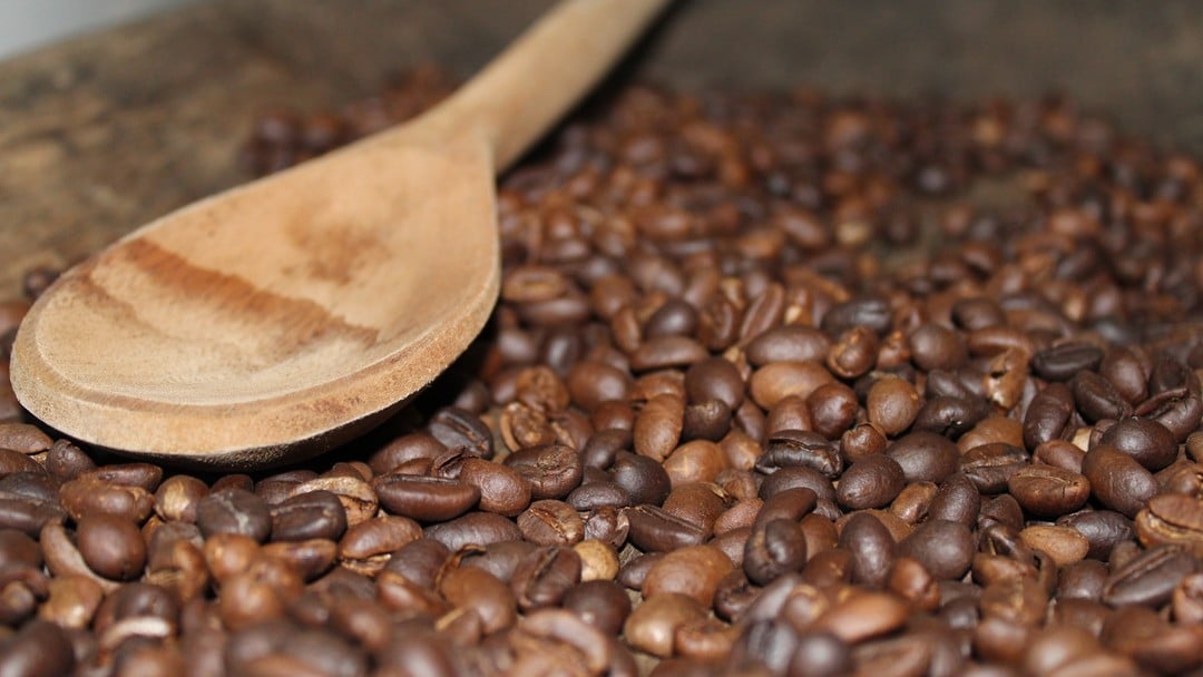 CACOAL SE PREPARA PARA A 1ª FESTA DO CAFÉ, NOS DIAS 28 E 29 DE JULHO - News Rondônia