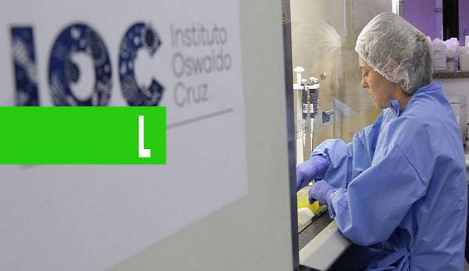 PRODUÇÃO: ANVISA APROVA OITO TESTES RÁPIDOS PARA CORONAVÍRUS - News Rondônia