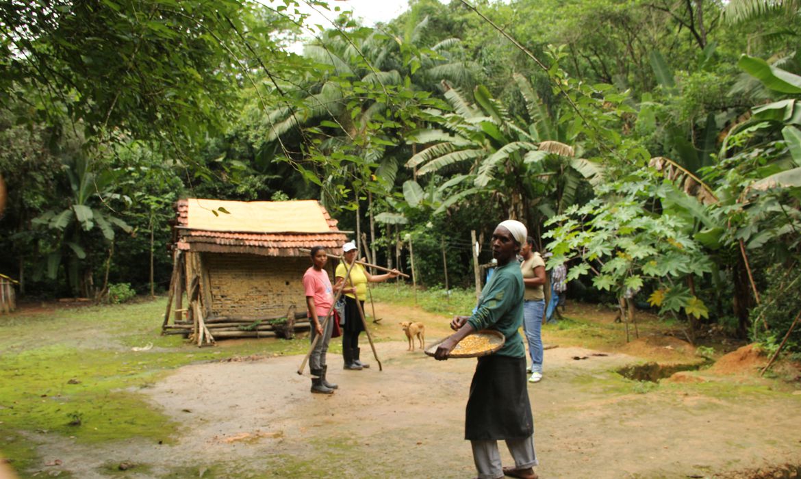 Aplicativo mapeia 5,3 mil famílias em territórios tradicionais - News Rondônia
