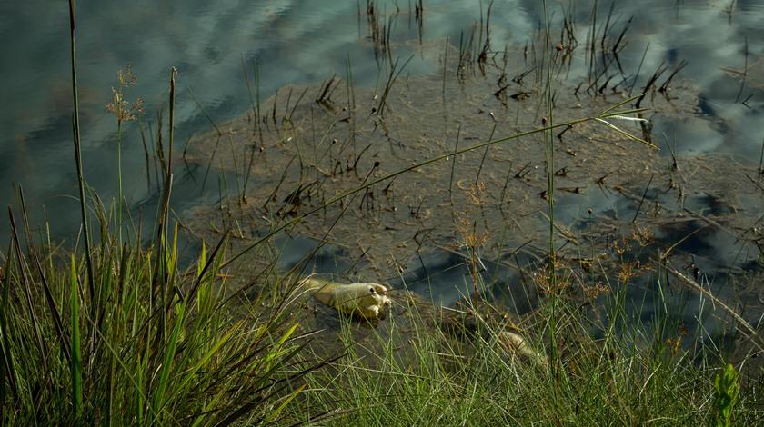 BRASIL TEM MAIS DE 83 MIL KM DE RIOS POLUÍDOS, APONTA AGÊNCIA - News Rondônia