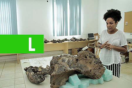 MUSEU DA MEMÓRIA CATALOGA E ACEITA DOAÇÕES DE FÓSSEIS DE ANIMAIS GIGANTES RECOLHIDOS DE GARIMPOS NO RIO MADEIRA - News Rondônia