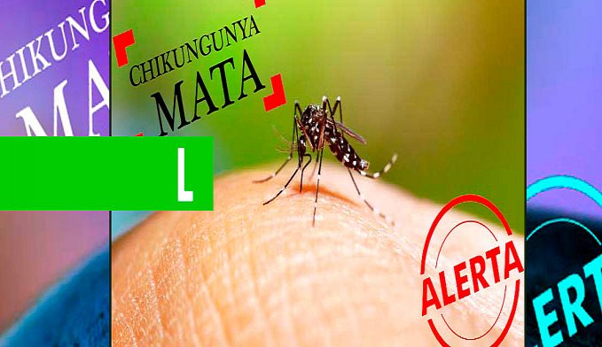 JOVEM ROLIMOURENSE MORREU VÍTIMA DE CHIKUNGUNYA - News Rondônia