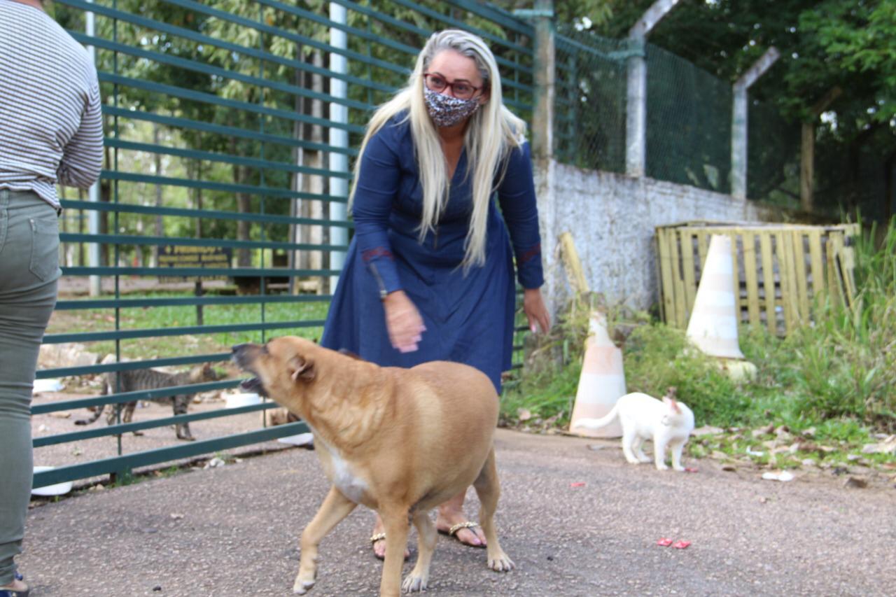 Márcia Socorristas animais fiscaliza e cobra providências para os Parques da Cidade - News Rondônia