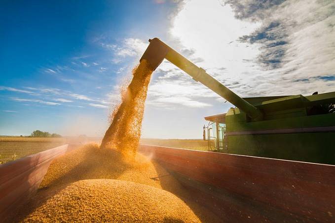 Com início da colheita, Conab prevê produção de soja de 133,7 milhões de toneladas - News Rondônia