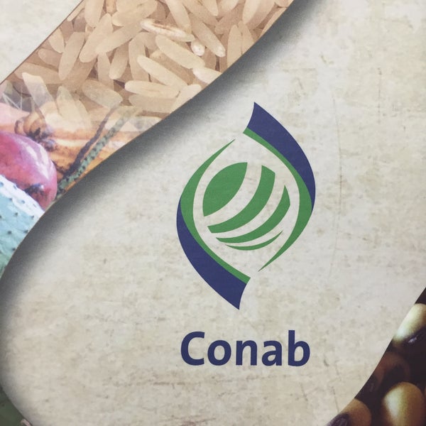 CONAB LANÇA EDIÇÃO HISTÓRICA SOBRE PARTICIPAÇÃO DOS PRODUTORES NA RECEITA BRUTA DA AGROPECUÁRIA - News Rondônia